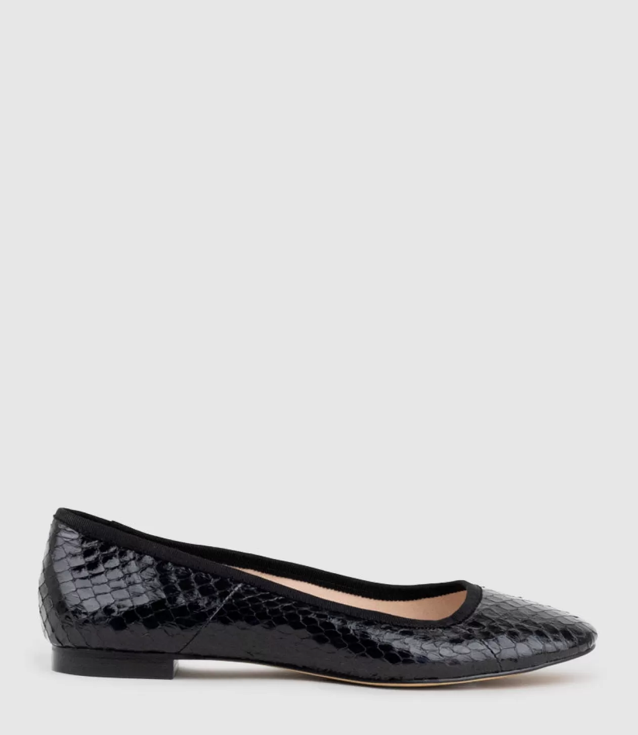 Edward Meller Ballet Flats<Faile Ballet With Grosgrain Piping In Black Snake